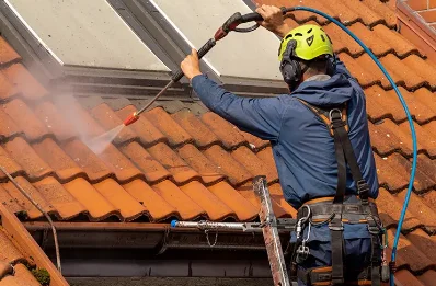 Démoussage et hydrofuge de toiture à Candes-Saint-Martin